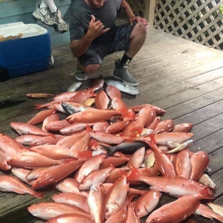 SUNSET SNAPPER FISHING American Hunter Fishing